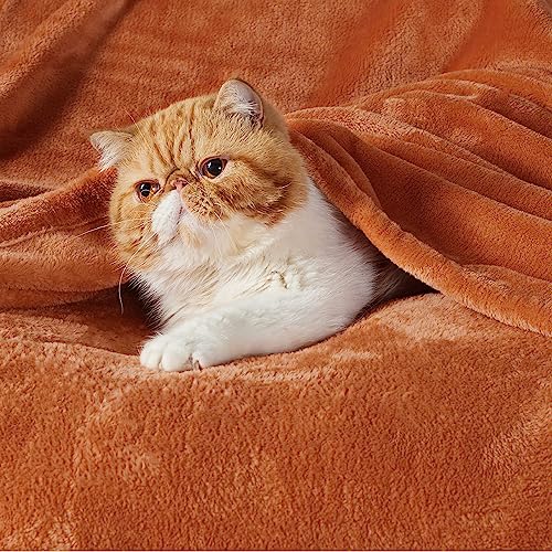 Bedsure King Size Fleece Blanket - Soft, Lightweight & Cozy