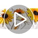 Sunflower Paper Fans - 9pcs Yellow Flower Decorations for Parties