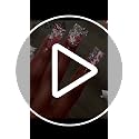 YAEISM 12PCS 3D Star & Dollar Sign Silver Crystal Nail Charms