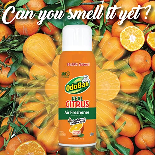 OdoBan Natural Citrus Air Freshener Spray, 360-Degree Continuous, 10 Oz (3-Pack)