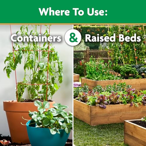 Miracle-Gro Water Soluble Tomato Plant Food, 1.5 lb (Pack of 6)