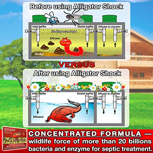 Alligator Shock Septic Treatment Cleaner | Natural Enzyme Formula for Odor Control