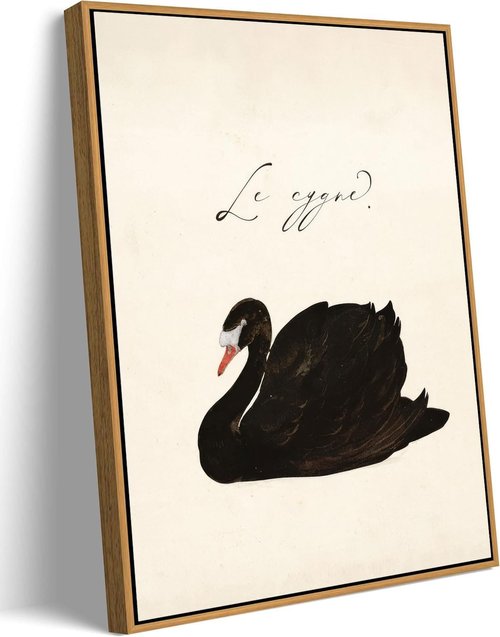 EAGLOG Vintage Black Swan Wall Art - Eclectic Farmhouse Canvas Print for Living Room | 8x10in