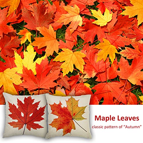 Coitak 18-Inch Fall Pillow Covers, Maple Leaves Design - 2 Pack