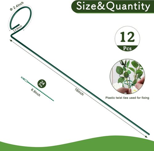 Feed Garden 16-Inch Plant Support Stakes - Durable Metal Garden Flower Supports with 24 Twist Ties for Amaryllis, Lily, Rose, Peony, Tomatoes, Gladiolus