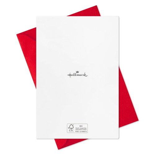 Hallmark Boxed Christmas Cards, Tropical Santa (16 Cards and 16 Envelopes) Warmest Christmas Wishes