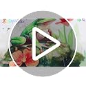 3 Pcs Green Frog Wall Decals - Cute Cartoon Toilet Lid Stickers - 3999-Frog