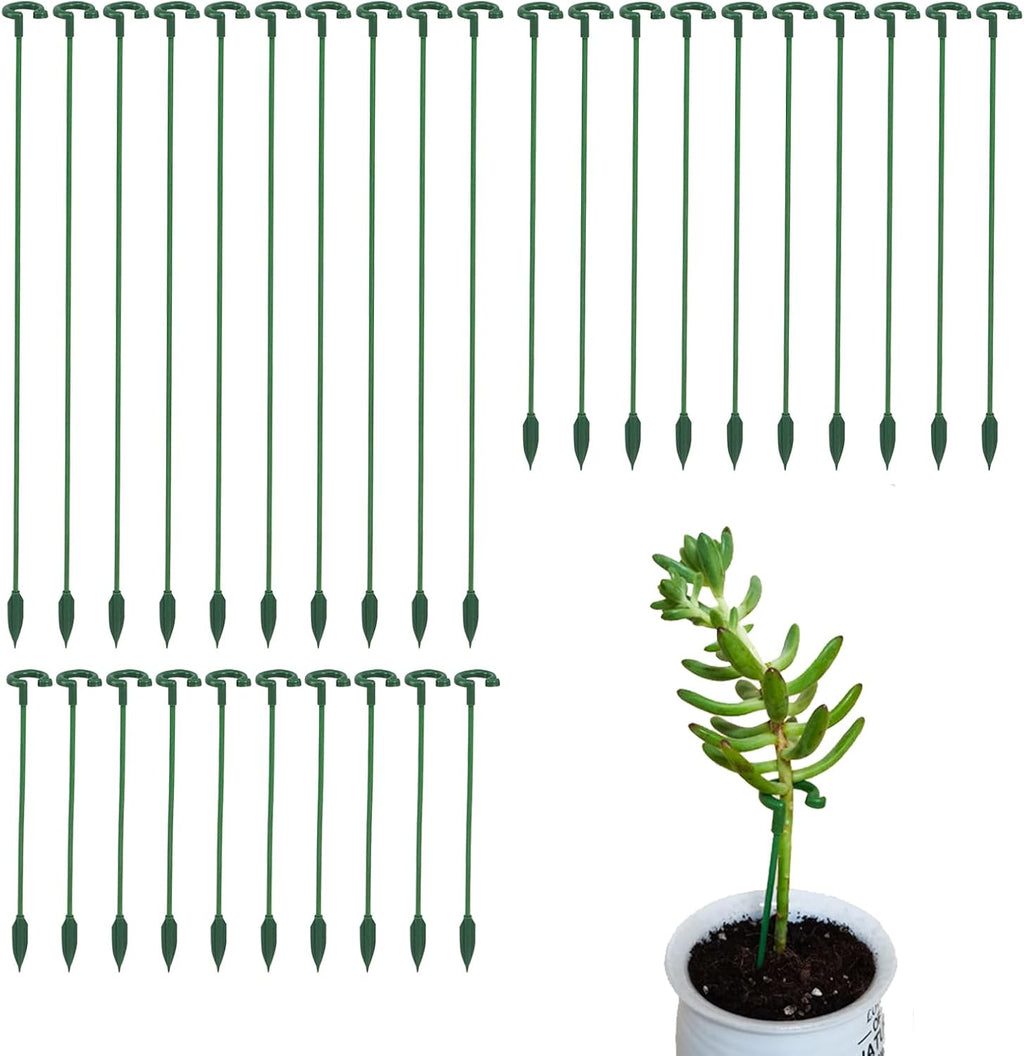 Small Plant Stakes - Pack of 30 | Durable Support for Indoor Plants - 3 Sizes: 6.7/10.7/14.6 Inches