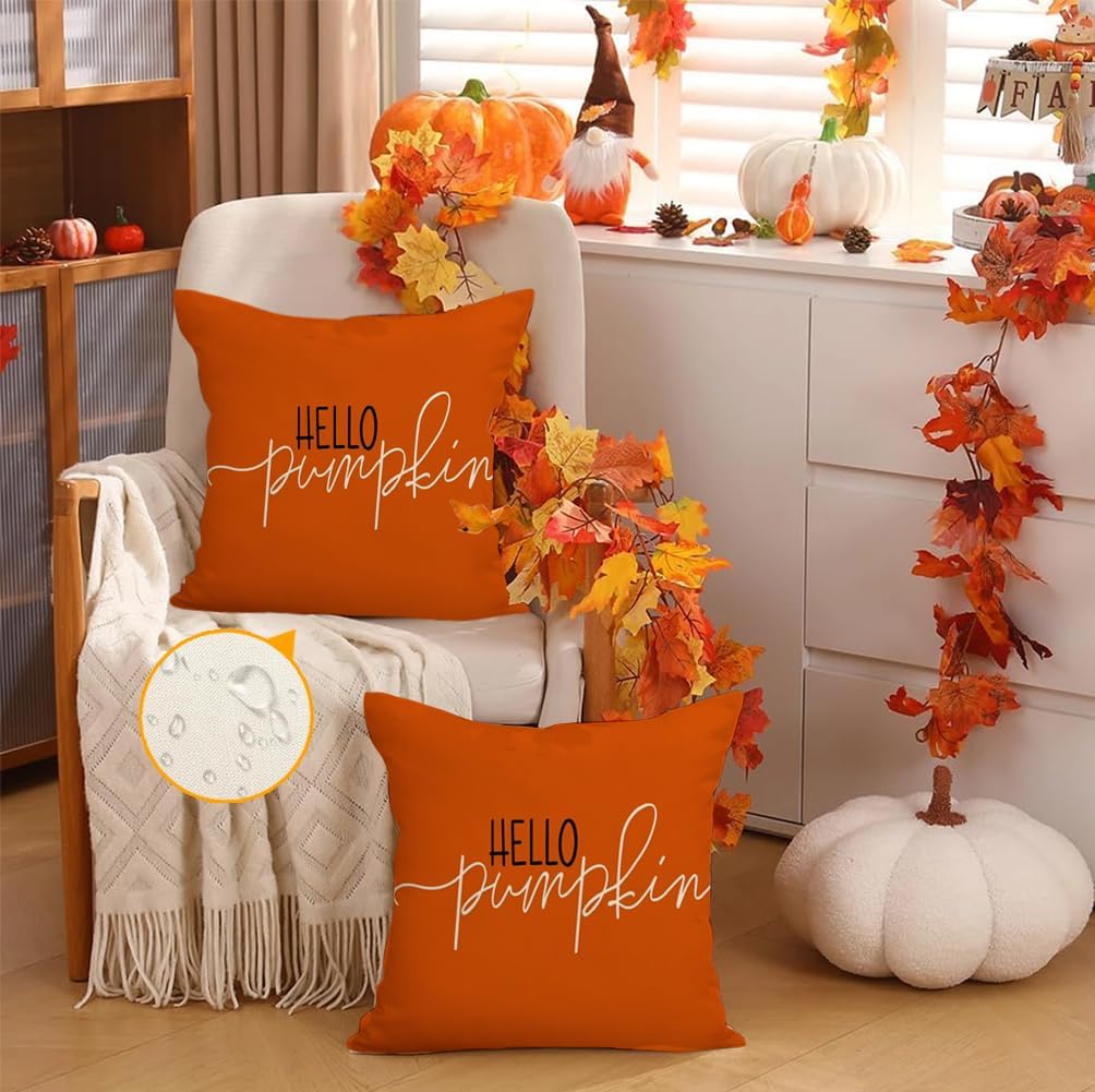 RABUSOFA Fall Pillow Covers - 18x18 Inch Outdoor Waterproof Rust Hello Pumpkin Design | Thanksgiving Decor