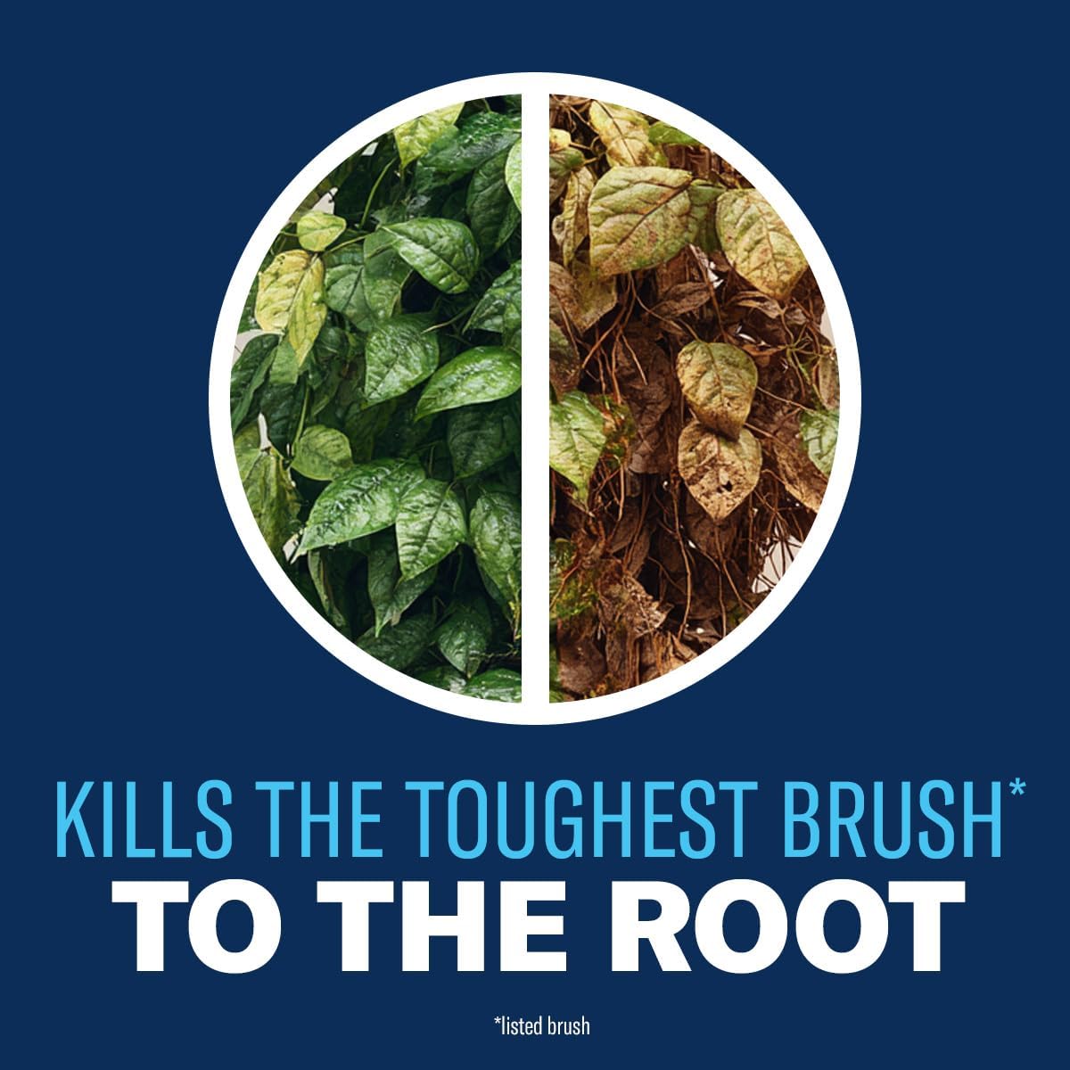BioAdvanced Brush Killer Plus - Ready-to-Spray Weed Killer, 32 oz | Effectively Eliminates Tough Brush & Poison Ivy