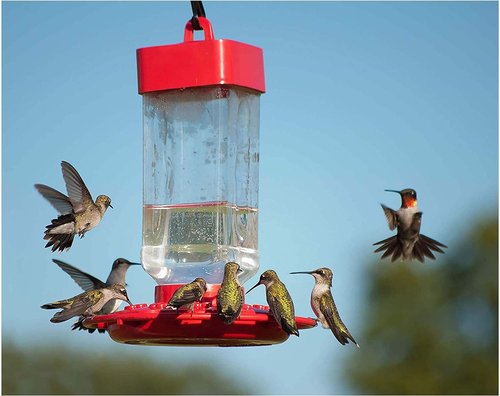 Kaytee Electro Nectar - Ready to Use 64oz | Hydrating Bird Nectar - 2 Pack
