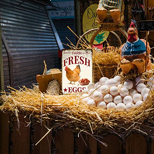 Farm Fresh Eggs Metal Sign - 8x12 Retro Wall Decor