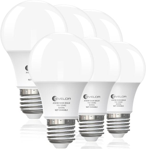 Evelor A19 LED Light Bulbs - 6-Pack Daylight 5000K, 60W Equivalent, 800 Lumens, E26 Base, 15,000 Hours