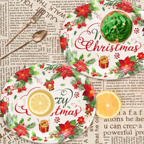 Christmas Paper Plates 24 Pack - Holiday Disposable Serving Plates with Poinsettia Design