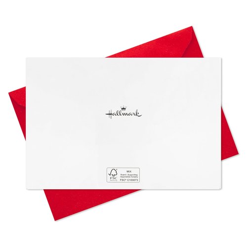 Hallmark Boxed Christmas Cards, Painted Cardinal (40 Cards and 40 Envelopes) Beautiful Christmas