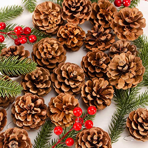 Natural Pine Cones for Christmas Crafts & Decorations - 24 Pack, 1.57-1.96 Inch, Variation: Nature