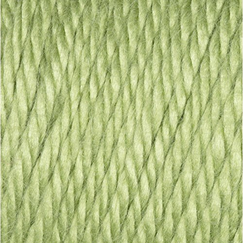 Caron Simply Soft Yarn, 6oz Pistachio - 100% Acrylic, Machine Washable