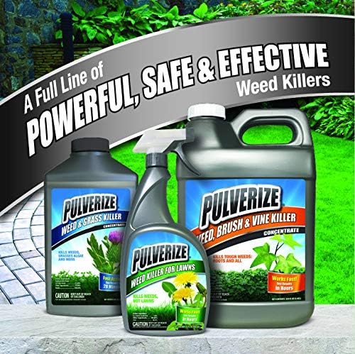 Regine Switzerland Weed Brush & Vine Killer - Fast Acting, Non-Staining Herbicide, 32 oz.