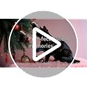 BIZIBAFF Black Cat Christmas Ornament - Acrylic 2D Lifelike Cat Decor B-blackcat