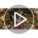 Funny Christmas Goose Ornament - Farmhouse Resin Holiday Tree Decor