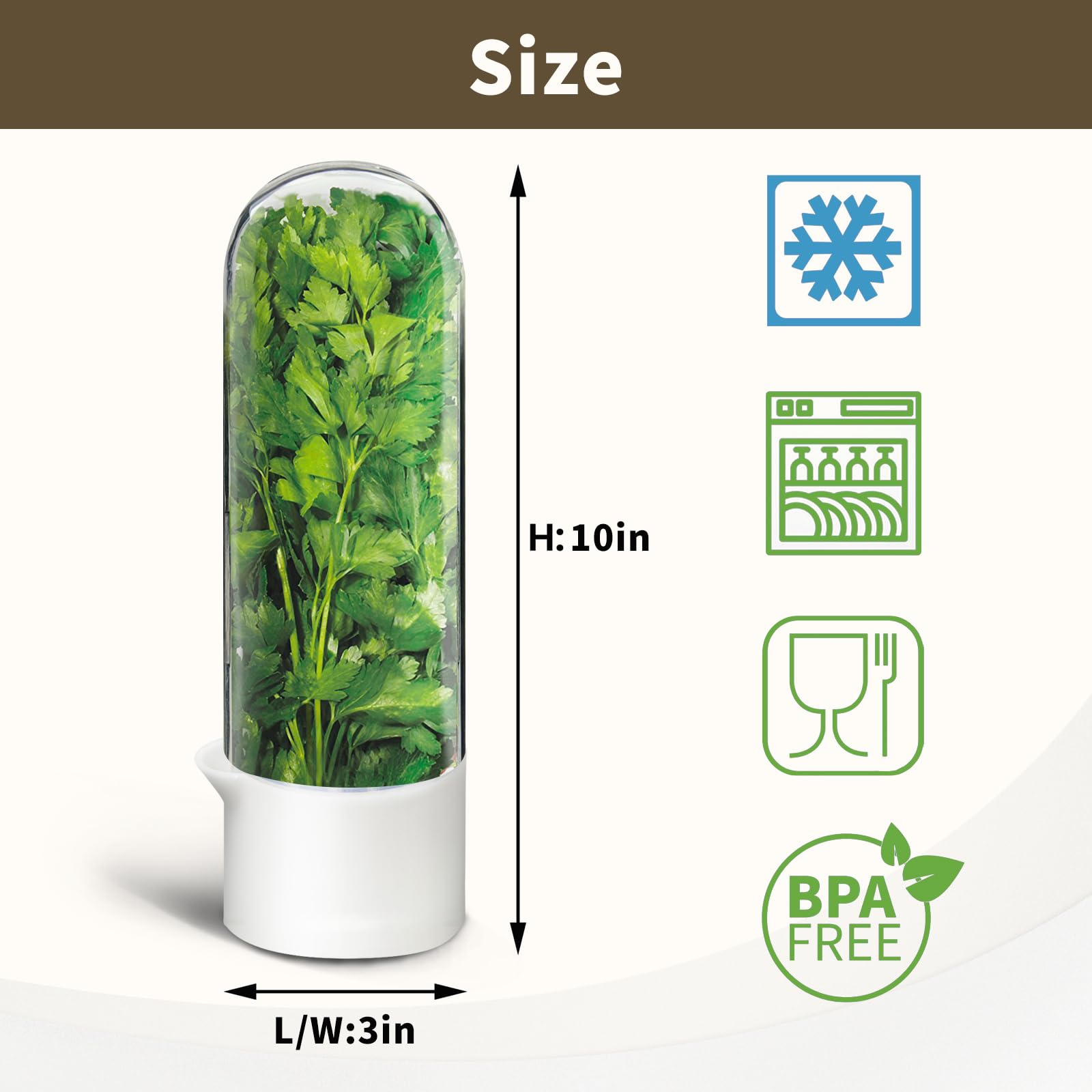 UEOZ Herb Keeper for Refrigerator, Herb Saver for Refrigerator, Vegetable Preservation Bottle for Cilantro, Mint, Parsley, Asparagus, Keeps Greens Fresh for 2-3 Weeks (1PCS)