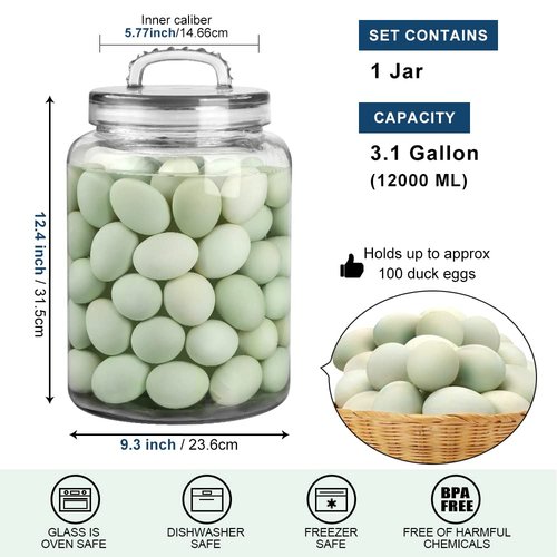 Daitouge 3 Gallon Glass Jar with Lid, Wide Mouth Large Glass Canister with lid, Super Large Cookie Jar for Food Storage, Sugar, Flour, Cookies,Dog Treats