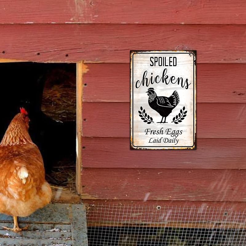 Funny Chicken Coop Metal Sign Fresh Eggs Laid Daily 8x12 Inch Rustic Decor