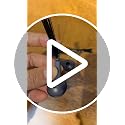 Replacement Side Brushes for Shark Robot Vacuums | 4-Pack