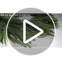 6.56ft Pre-Lit Christmas Garland with 40 LED Lights, Real Touch Norfolk Pine