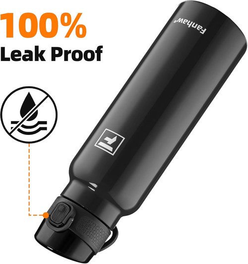 Fanhaw Daylite Series 24 oz Insulated Stainless Steel Water Bottle - Leakproof Double-Wall Design | Glossy Black