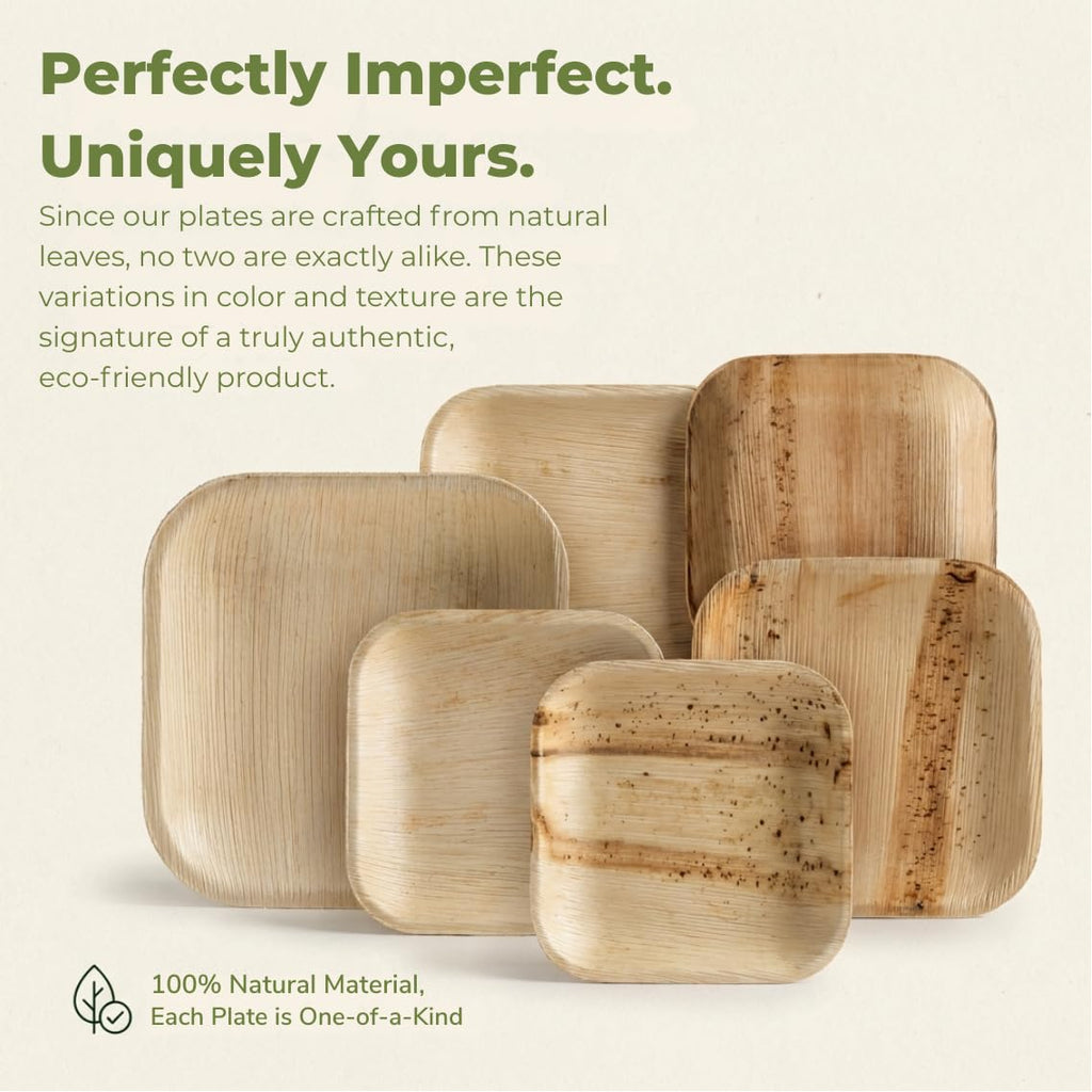 Palm Leaf Plate Bamboo Paper Disposable 6 Inch 100 Bulk Appetizer and Dessert Square Party Pack Eco Biodegradable Compostable Wooden Plates Better Than Plastic Plates By KoalaLove