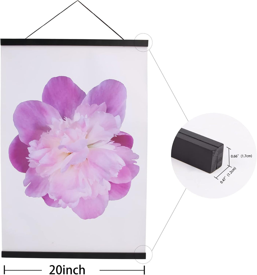 Aynoo Magnetic Poster Hanger Frame - 20 Inch Picture Frame Hanger in Black | Versatile Sizes 20x30, 20x28, 20x36, 20x24
