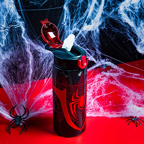 Zak Designs Spider-Man 25oz Leak-Proof Kids Water Bottle with Straw