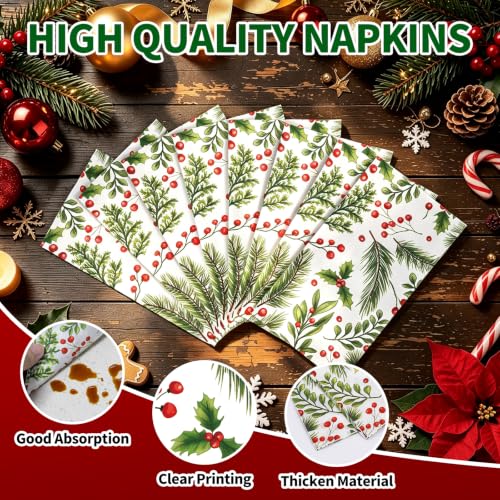 Christmas Oval Paper Plates and Napkins Set 50 Pcs - Holiday Party Supplies