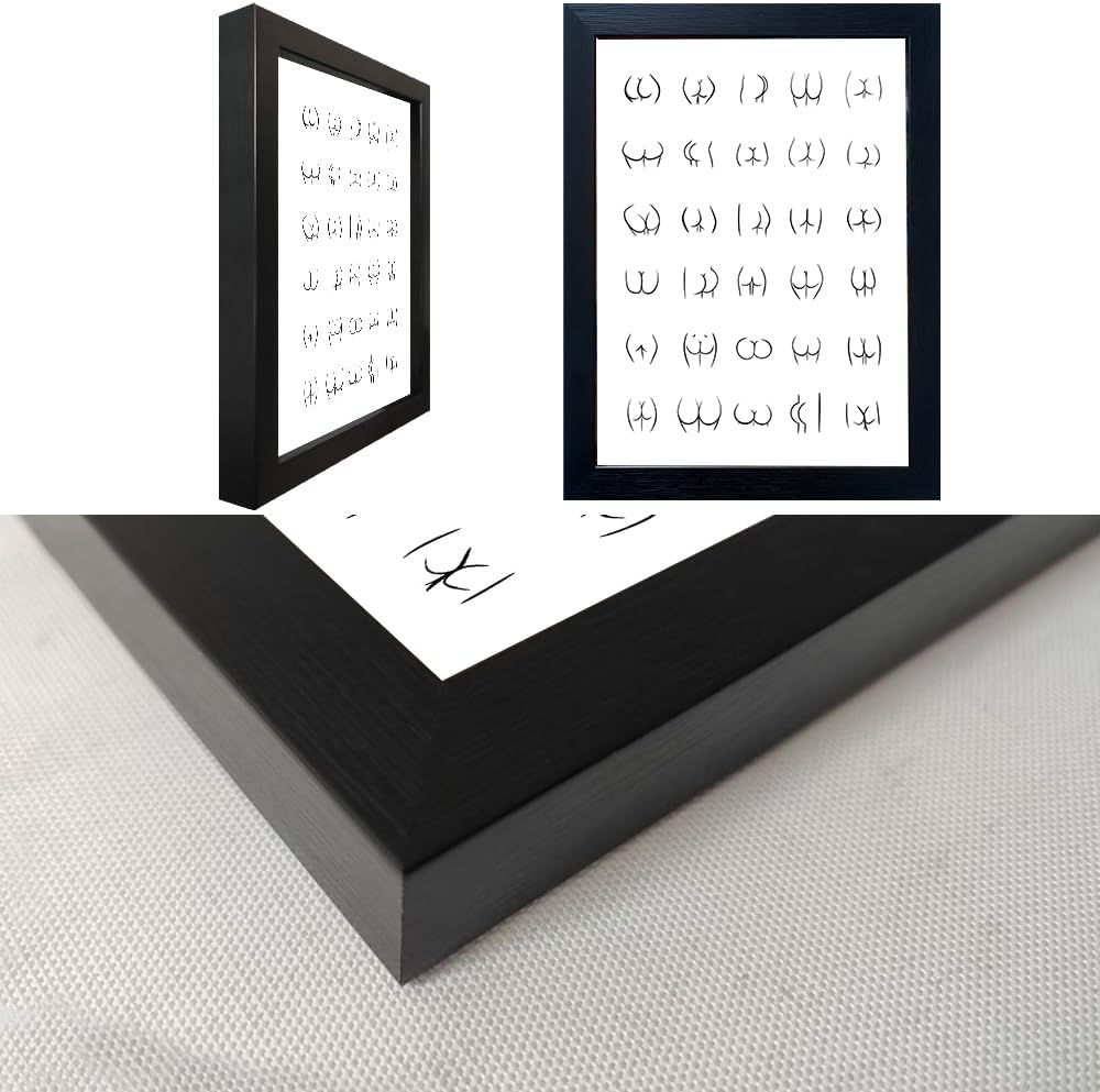 Regine Switzerland Black and White Bathroom Wall Art - Framed Funny Decor Canvas Print