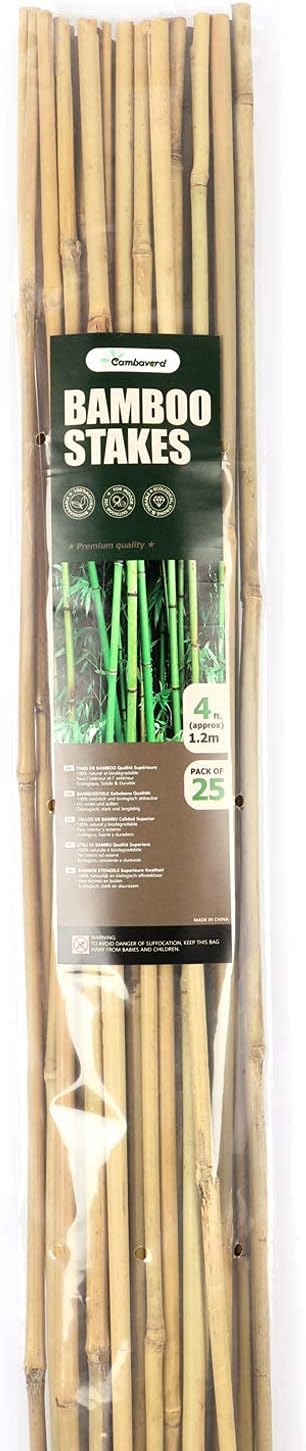 Cambaverd Bamboo Stakes - 4ft Natural Plant Support for Tomatoes & Climbing Plants | 25 Pack