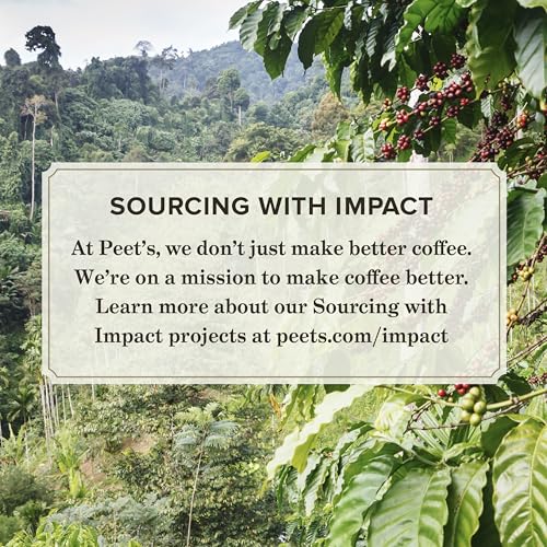 Peet's Coffee, Ultra Coffee Concentrate, Instant Hot, Cold Brew, or Iced Coffee, 100% Arabica Coffee - Espresso Forte, 8 Fluid Ounce Bottle (16 Servings)