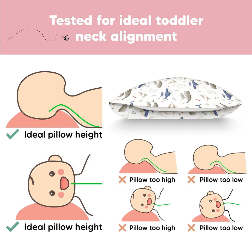 My Little Dreamy Toddler Pillow - Organic Cotton Travel Bed Pillow with Soft Pillowcase | 13x18, Machine Washable, Ideal for Ages 2-5 (Marine)