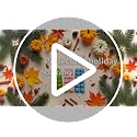 Thanksgiving Silicone Candy Molds - Pumpkin & Maple Leaf Shapes