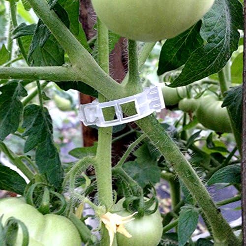 KINGLAKE Plant Support Clips - 200 Pcs Tomato Vine & Trellis Clips for Healthier Upright Growth