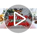 Merry Christmas Sign Acrylic Reindeer Tabletop Decor Plaque