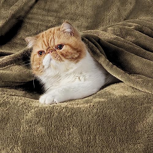 Bedsure King Size Fleece Blanket - Soft Plush Microfiber Bed Blanket, Camel