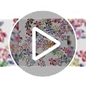3D Flower Nail Charms Hibiscus Floral Gems for Acrylic Nails 60PCS