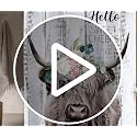 Farmhouse Highland Cow Shower Curtain - 36x72 Inch Water Repellent