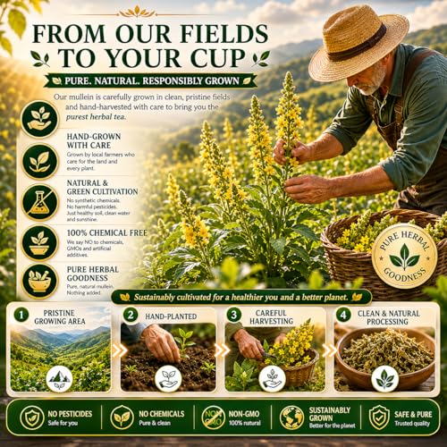WOTIHA Mullein Tea Bags 65 Count - Natural Herbal Lung Support & Respiratory Tea