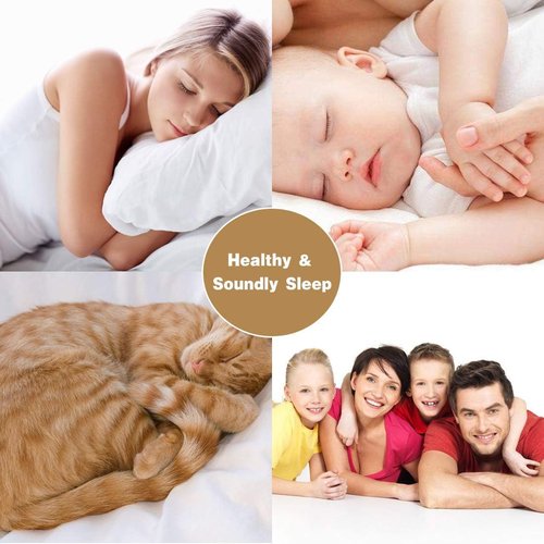 Elegant Decor Queen Bed Sheet Set - 300 GSM Double Brushed Microfiber - 16 Inch Deep Pockets, Luxury Quality, Wrinkle Resistant, White