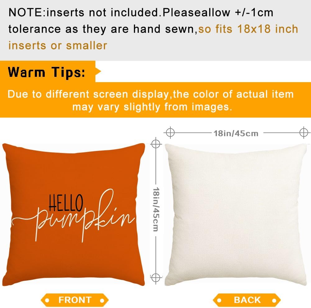 RABUSOFA Fall Pillow Covers - 18x18 Inch Outdoor Waterproof Rust Hello Pumpkin Design | Thanksgiving Decor