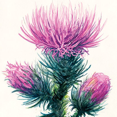 Strathmore 400 Series Watercolor Block, Cold Press, 11" x 15", 15 Sheets