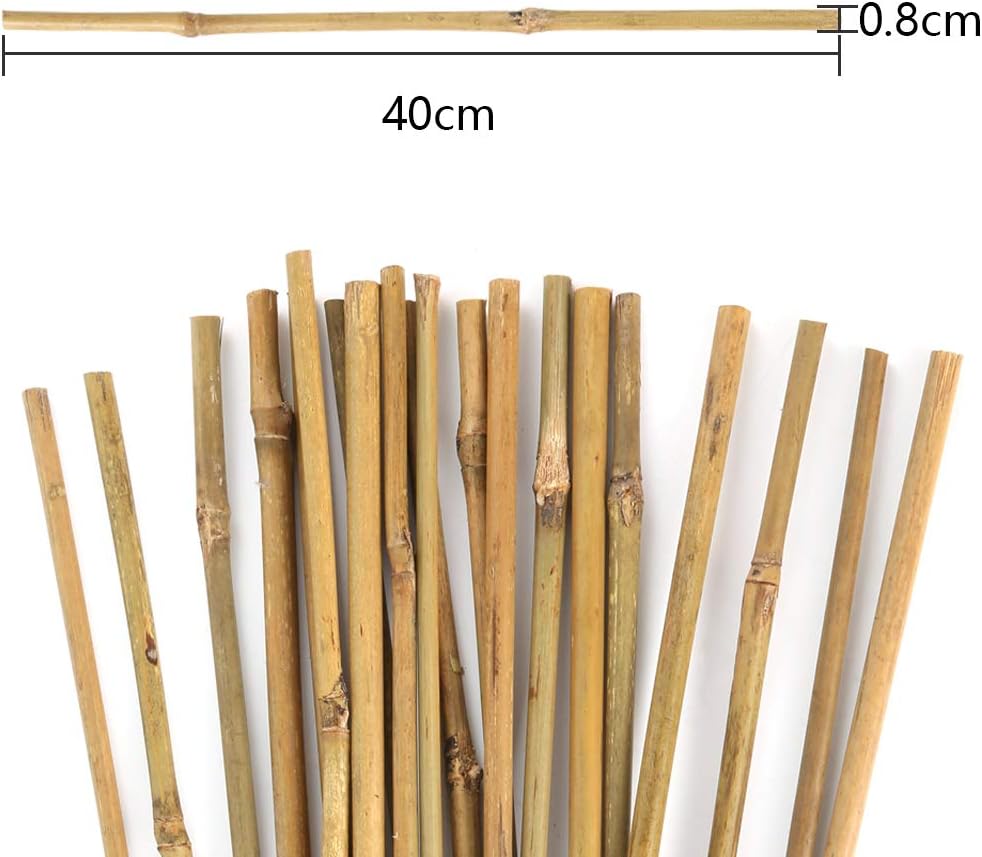 Pllieay Bamboo Garden Stakes - 20PC Natural Plant Support for Indoor/Outdoor Potted Plants | 1.33'/16 Inch