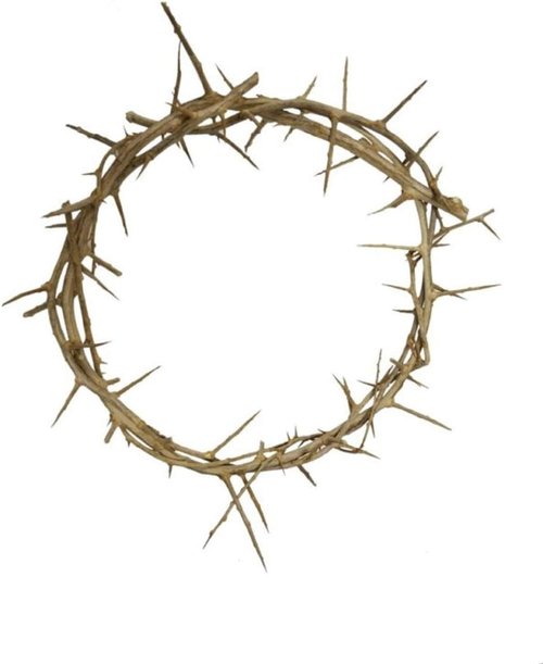 Bethlehem Gifts™ Life-Size Crown of Thorns Replica - Authentic Holy Land Design (4")